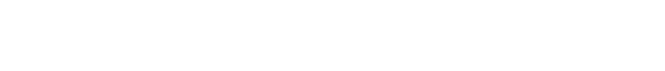 White Logo
